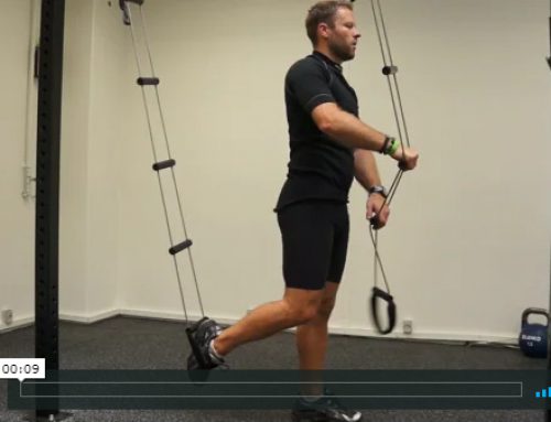 Ladder – balance lunges with support