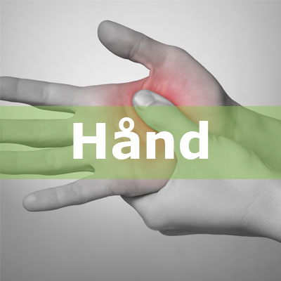 haand.jpg